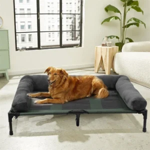 Raised Dog Bed